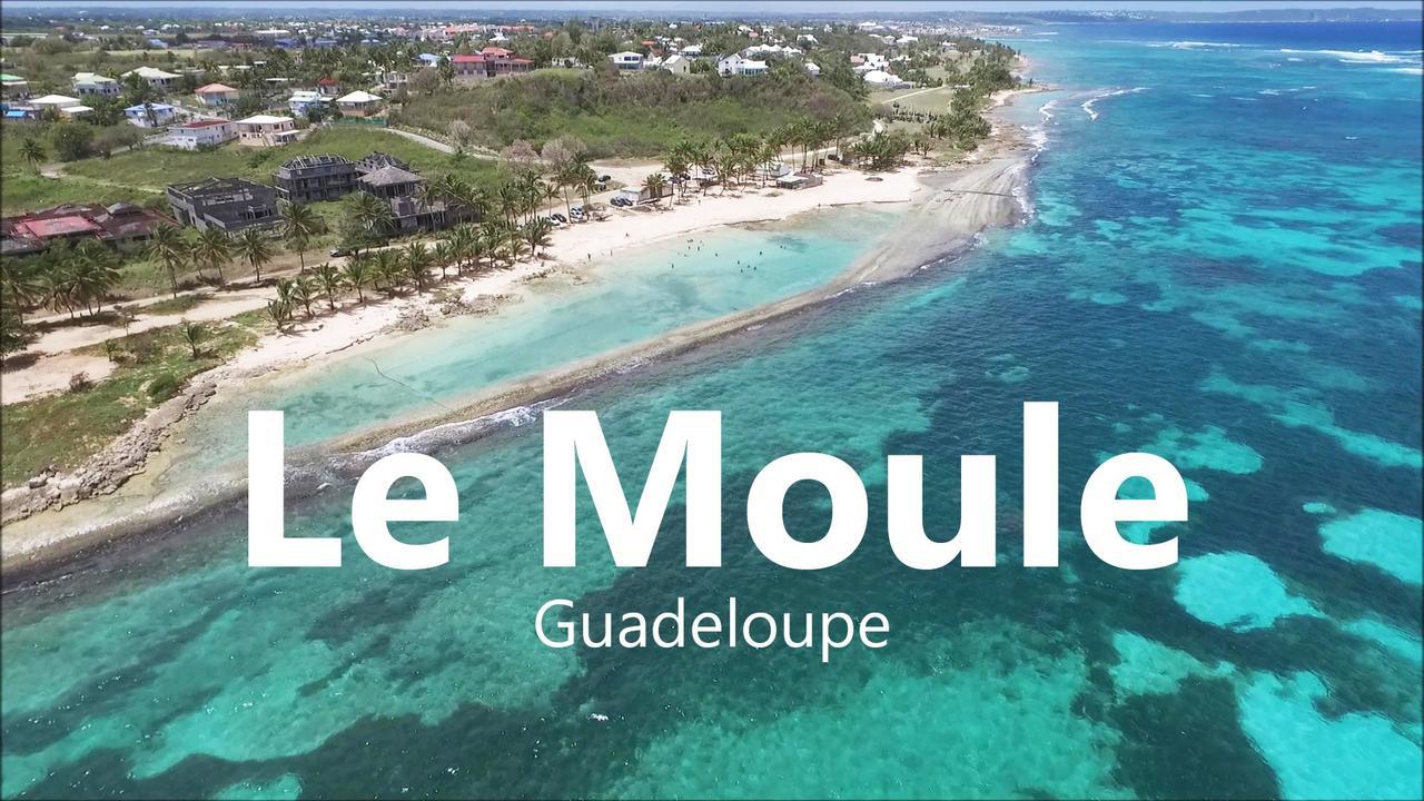 Le Moulin De La Baie Piscine Vue Mer Le Moule Exterior foto